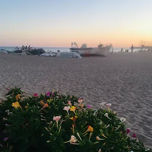 233 Casa Galo Porches (Algarve)